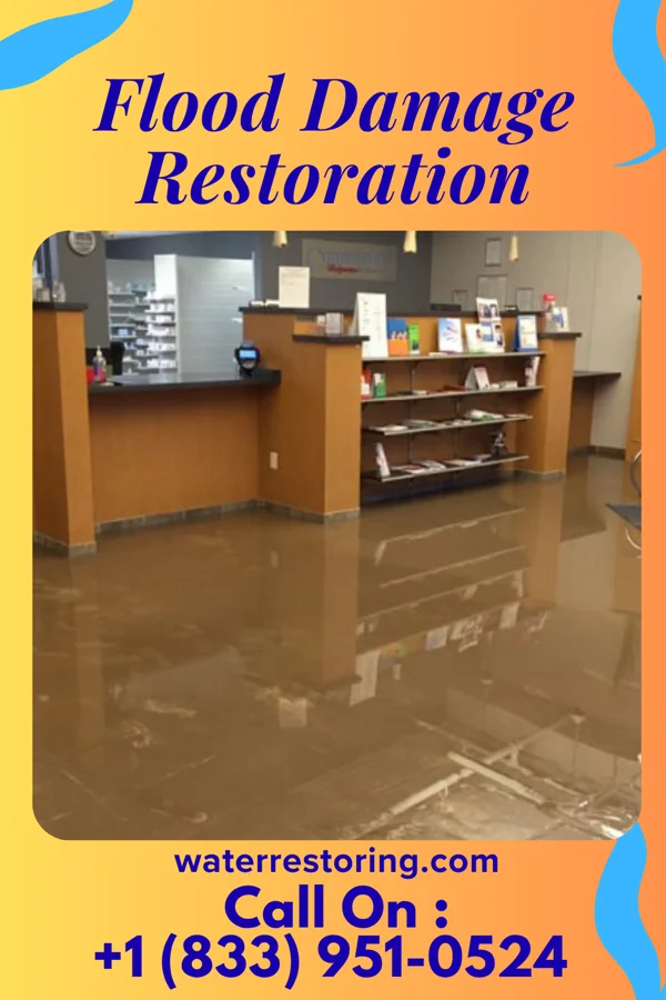 Flood Damage Restoration in Broaddus, TX